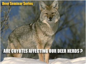 deer coyotes coyote bowsite winand deerbuilder features
