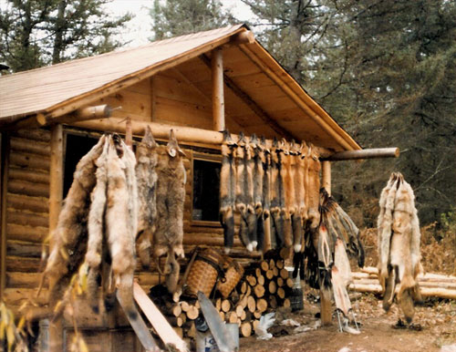 Tom Miranda's Fur Trapper Cabin
