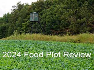2024 Food Plot Review