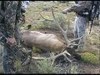This is a hunt from a DVD I put together back in 2005. Just an incredible hunt with 2 bulls killed within 15 mins of each other and dieing within in eye site of each other. 


